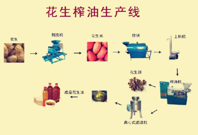 花生榨油机的春天来啦(图1)