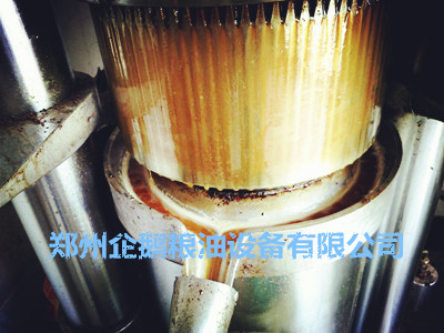 企鹅榨油机新用户安装须知(图1)