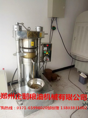 想在城市里开个榨油坊都需要哪些榨油设备(图1) 想在城市里开个榨油坊都需要哪些榨油设备(图1)