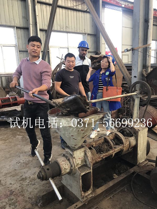 客户试机螺旋榨油机