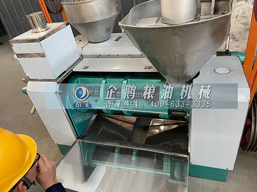 榨油机 榨油机